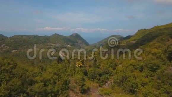 带热带森林的山脉菲律宾宿务岛视频的预览图