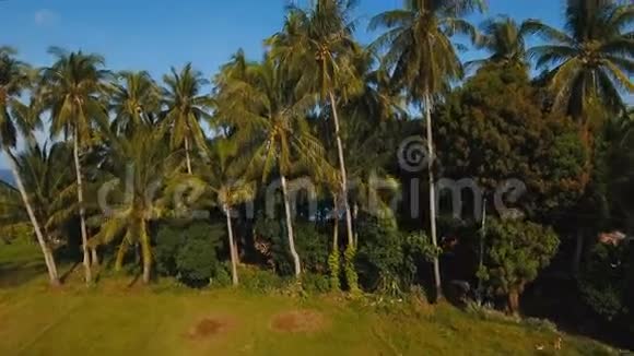 海景观搭配海和棕榈树鸟瞰菲律宾Camiguin岛视频的预览图