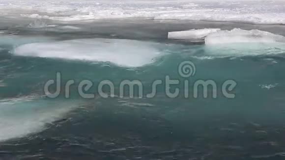 俄罗斯阿尔泰绿松石河上漂流的冰视频的预览图