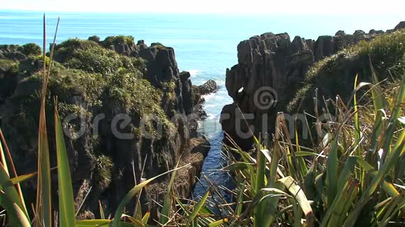 新西兰南部岛屿西海岸的煎饼岩视频的预览图