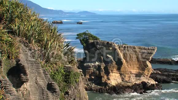 新西兰南部岛屿西海岸的煎饼岩视频的预览图