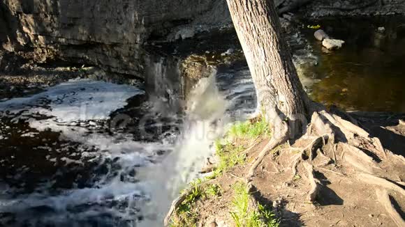 晴天的小瀑布视频的预览图