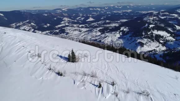 冬天的雪树鸟瞰飞过大自然视频的预览图