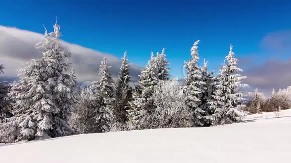 冬山景观高刺和雪视频的预览图