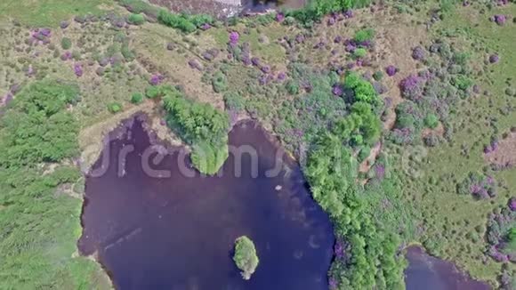 格伦艾特天堂景观的鸟瞰图视频的预览图