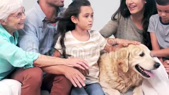 可爱的家人在客厅里抚摸一只狗视频的预览图