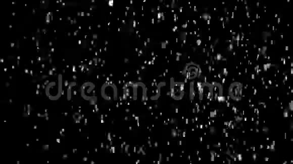 黑色背景下真正的降雪视频的预览图