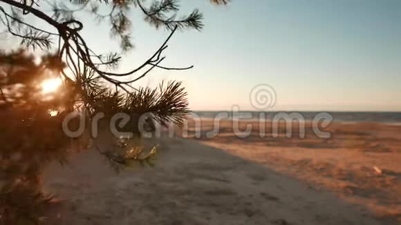 日落时美丽的夏日海滩视频的预览图