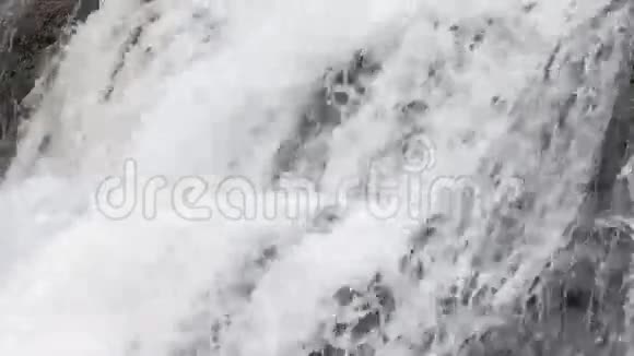 春天瀑布的背景视频的预览图