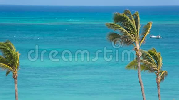 加勒比海海景背景视频的预览图