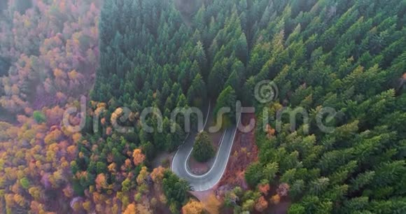 在五彩缤纷的秋林中前方的空中俯视着在路上行驶的汽车秋天的橙色绿色黄色的红色树林视频的预览图