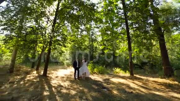 新郎新娘在美丽的公园散步视频的预览图