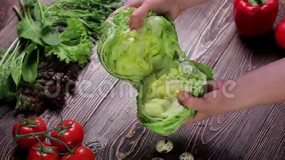 蔬菜还活着视频的预览图