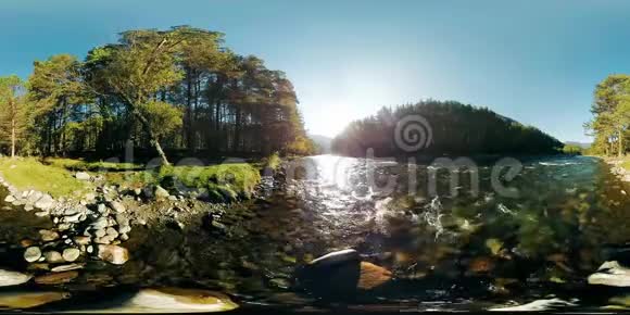 4K360VR虚拟现实河流在这片美丽的森林中的岩石上流动视频的预览图