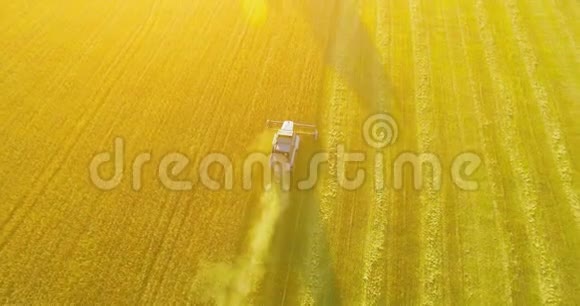 超高清4K鸟瞰图联合收割机上的低空飞行在黄色的农村地区收割小麦视频的预览图