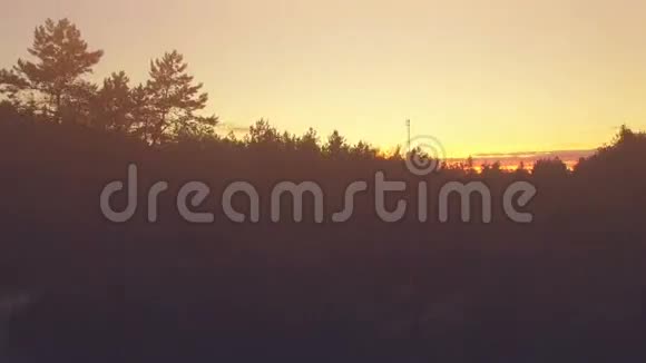 日落的森林4k30fps视频的预览图