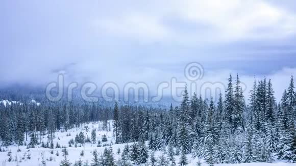 美丽的冬季景观白雪覆盖的树木冬天的山视频的预览图