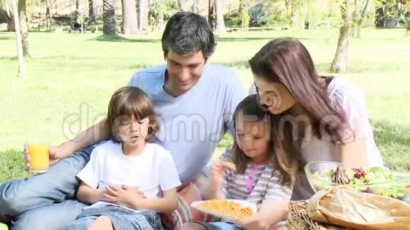 一家人在野餐视频的预览图