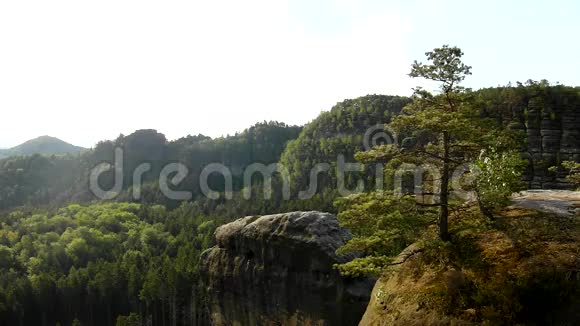 阳光明媚的春天日出在美丽的萨克森州山谷瑞士公园砂岩岩石视频的预览图