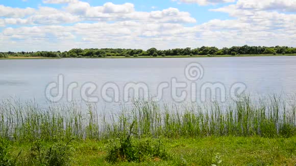 俄罗斯中部有湖泊的夏季景观视频的预览图