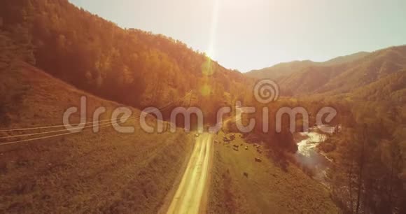 在阳光明媚的夏日早晨中气飞越新鲜的山河和草地农村土路下面奶牛和汽车视频的预览图