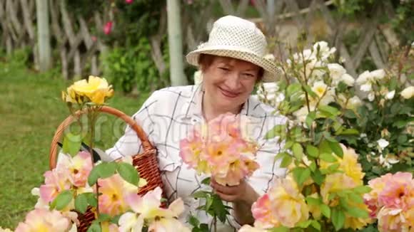 快乐的退休妇女园艺视频的预览图