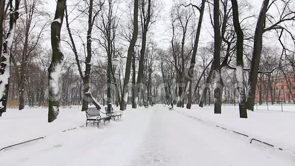 冬天公园的小巷视频的预览图