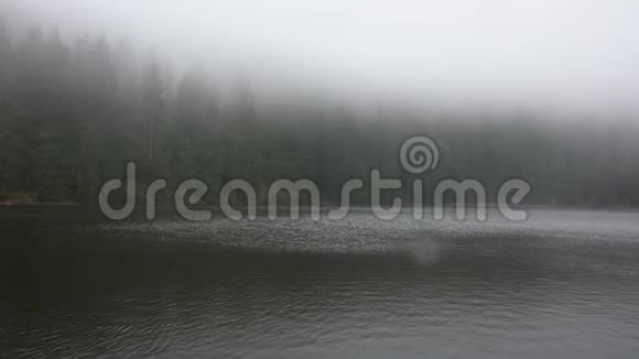 黑森林的Mummelsee湖或德国斯图加特的Schwarzwald视频的预览图