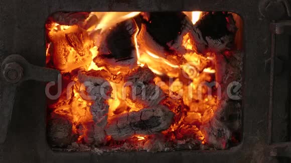 烧柴炉中特写视频的预览图