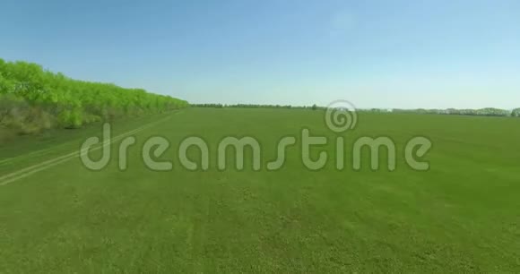4k鸟瞰图低飞过青黄麦田园视频的预览图