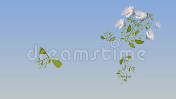 花卉动画背景决议视频的预览图
