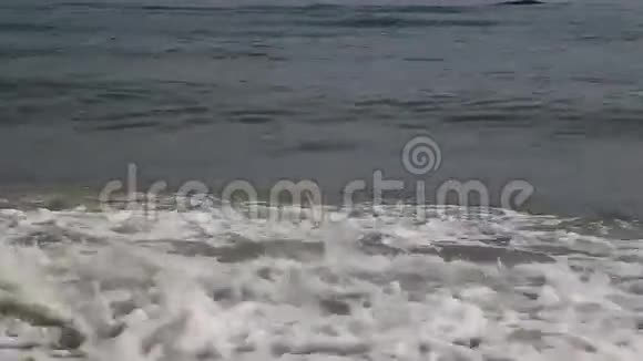 海浪和海滩视频的预览图