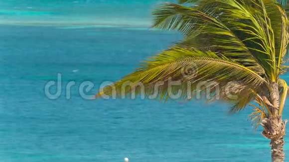 加勒比海海景背景视频的预览图