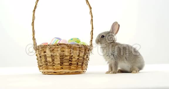 柳条篮子和复活节兔子里的复活节彩蛋视频的预览图