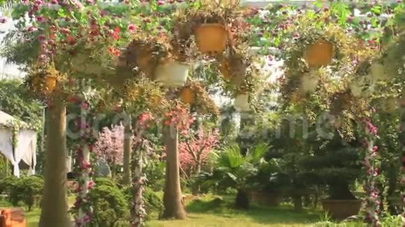 美丽的花园视频的预览图