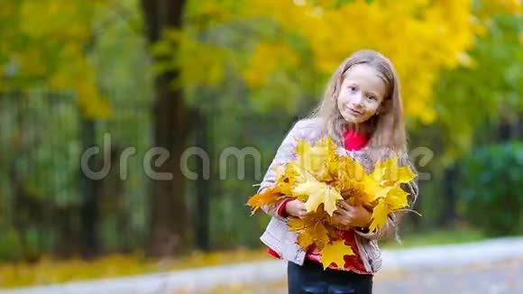 美丽的秋日户外有黄橙叶的可爱小女孩的画像视频的预览图
