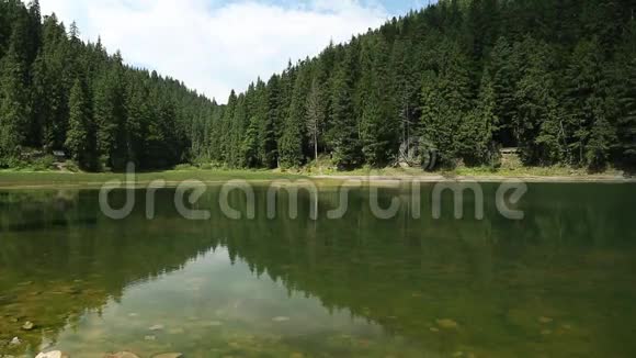 喀尔巴阡山脉的塞尼维湖视频的预览图