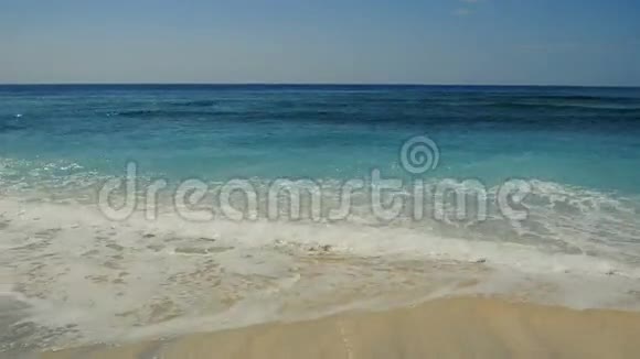 在热带沙滩冲浪视频的预览图