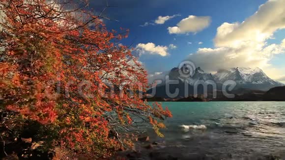 黎明时的佩赫湖智利托雷斯德尔潘恩视频的预览图