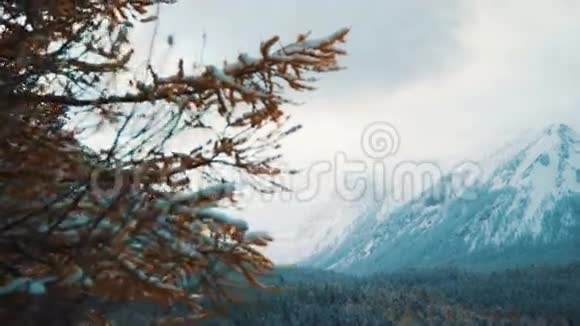 冬天山的风景视频的预览图