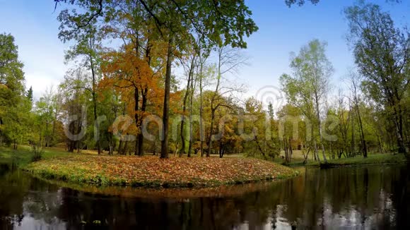 秋木倒映在湖中视频的预览图