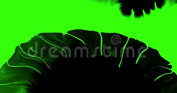 多抽象泼墨颜料在色度键绿色屏幕背景上的笔划黑色过渡颜料动画视频的预览图