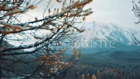 冬天山的风景视频的预览图