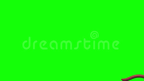 蠕虫上的绿色三维动画视频的预览图
