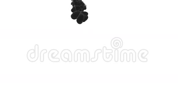 黑色墨水云在水下白色的背景或烟雾与阿尔法面具用于过渡背景覆盖和视频的预览图