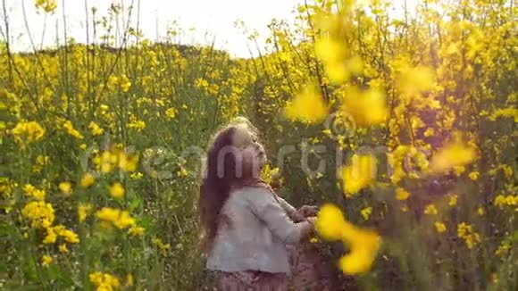 日落时分在田野里的女孩慢动作视频的预览图