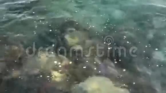 岩石底部的海浪视频的预览图