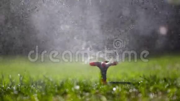 花园洒水浇草视频的预览图