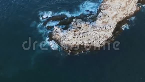 从悬崖上飞到海里鸟在海里的岩石上有鸟在海中的岛屿视频的预览图