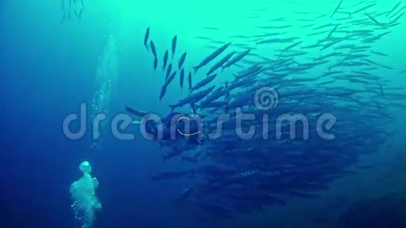 在西班牙马洛卡水下潜水巴拉库达斯学校潜水员视频的预览图